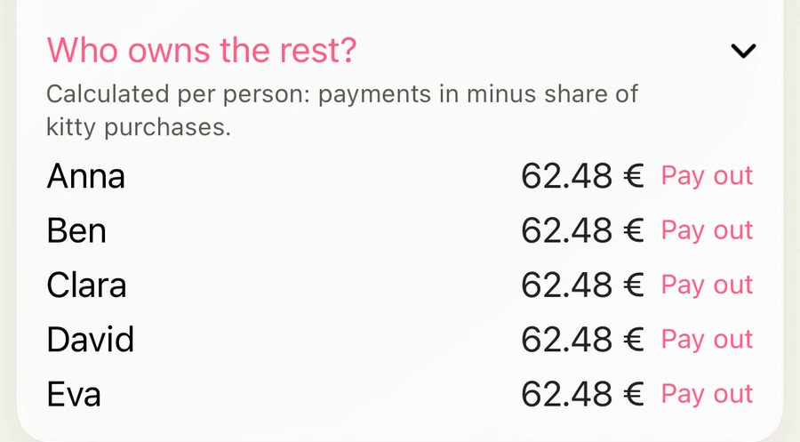 Who owns the rest? Anna, Ben, Clara, David and Eva each get 62.48 € from the boat kitty, each with Pay out.